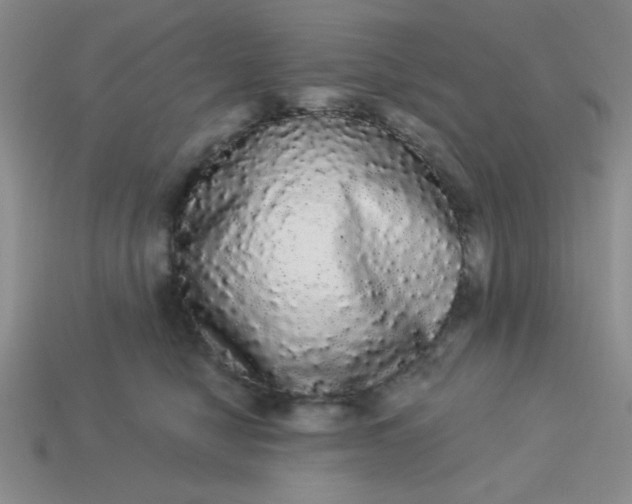 X0000113980470200910161626