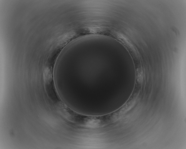 X0000113980471200910161626