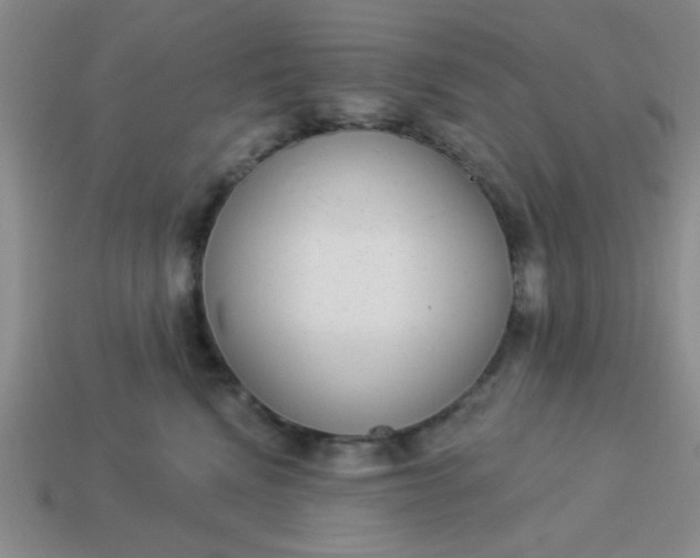 X0000113980472200910161626