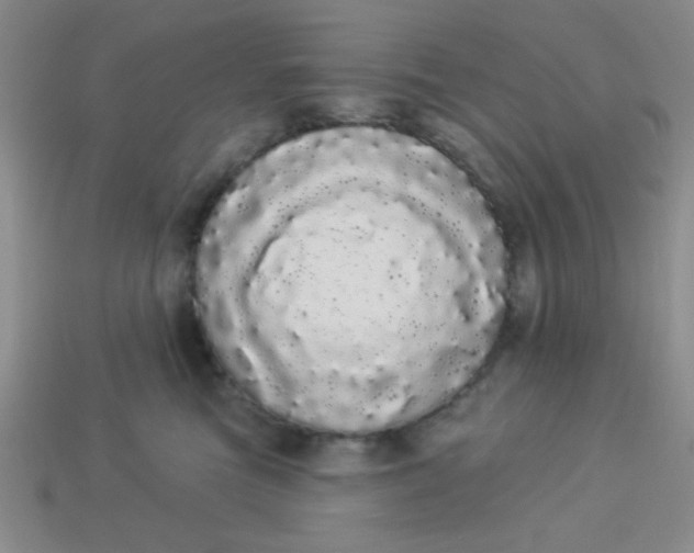 X0000113980473200910161627