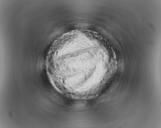 X0000113980474200910161627