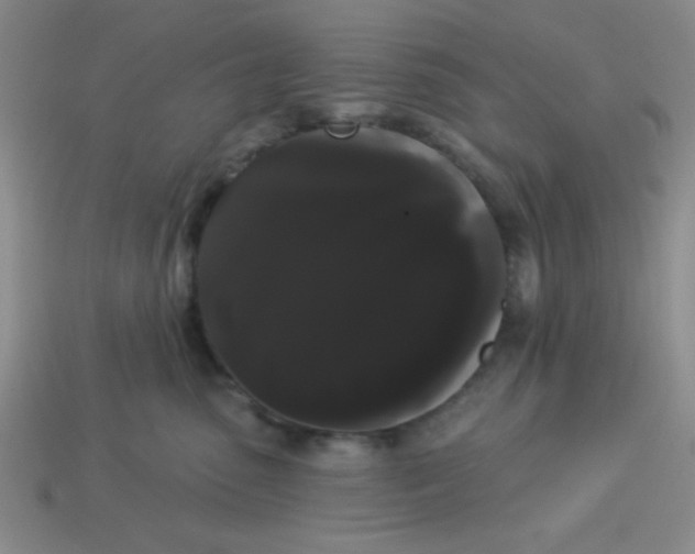 X0000113980475200910161627