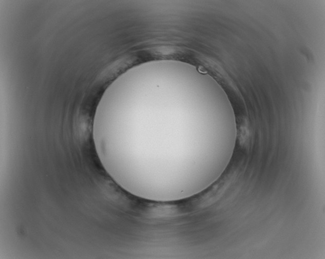 X0000113980476200910161627