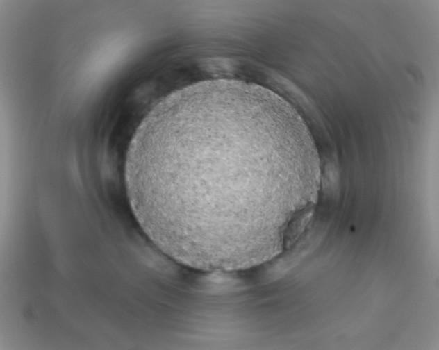 X0000113980477200910161627