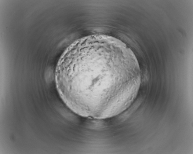 X0000113980478200910161627