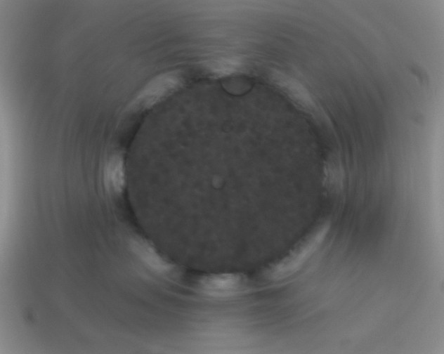 X0000113980479200910161627