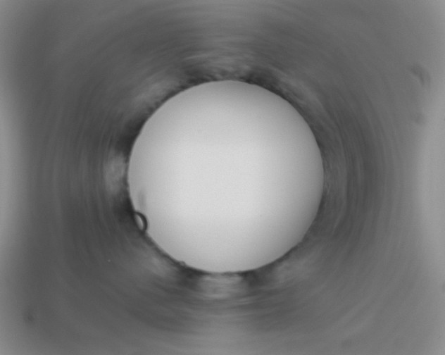 X0000113980480200910161627