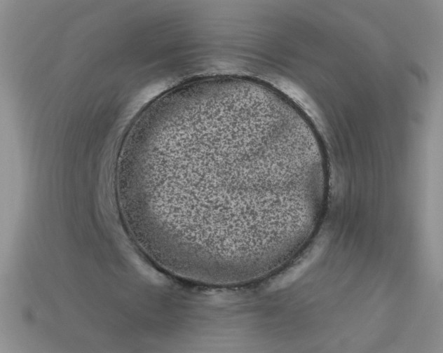 X0000113980481200910161626