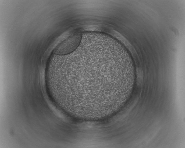 X0000113980482200910161626