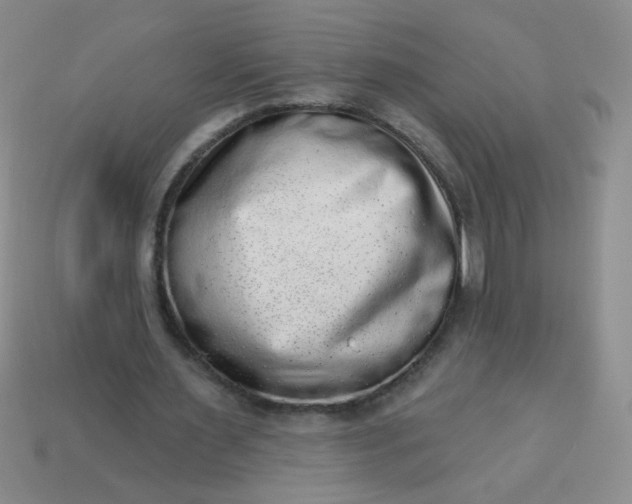 X0000113980483200910161626