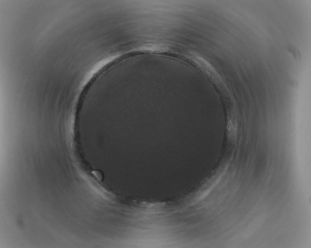 X0000113980484200910161626