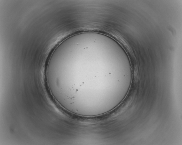 X0000113980485200910161626