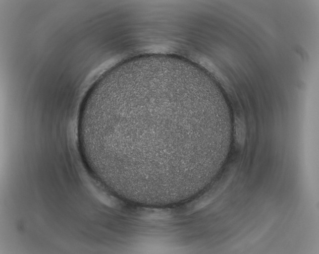 X0000113980486200910161626