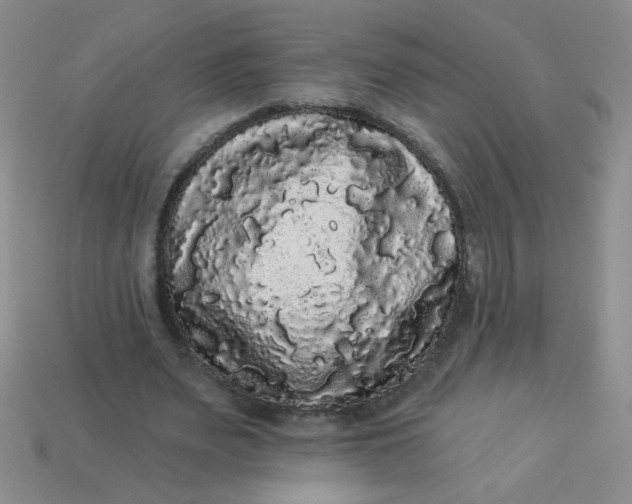 X0000113980487200910161626