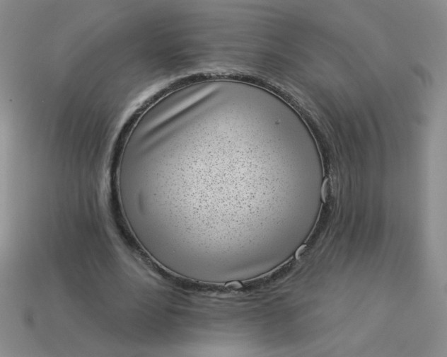 X0000113980488200910161626