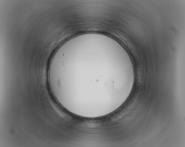 X0000113980489200910161626