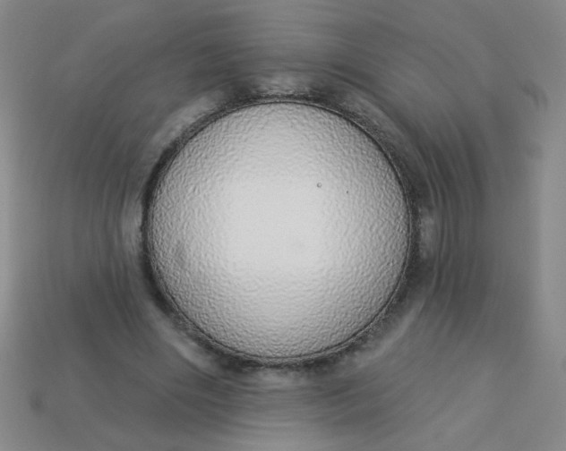 X0000113980490200910161626