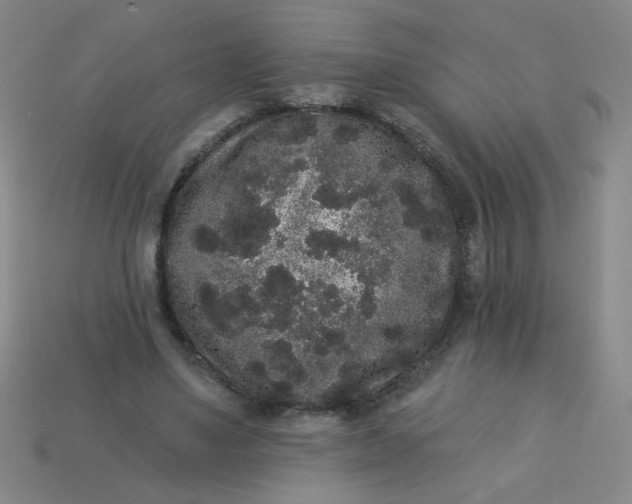 X0000113980491200910161626