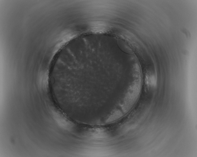 X0000113980492200910161626