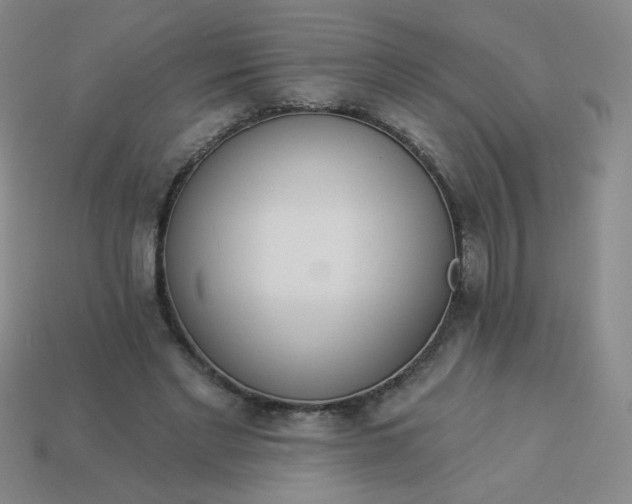 X0000113980493200910161626