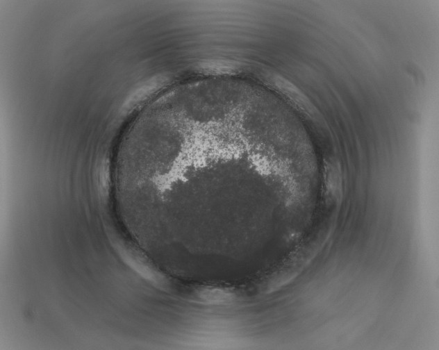 X0000113980494200910161626