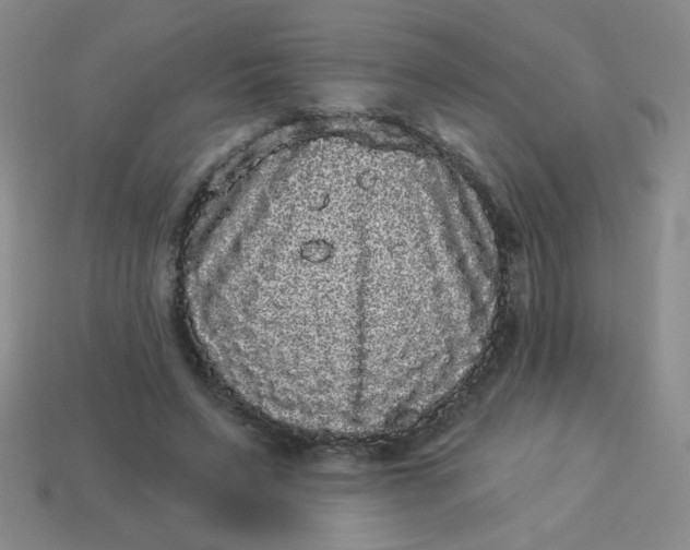 X0000113980495200910161626