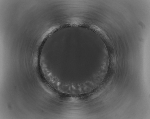 X0000113980496200910161626