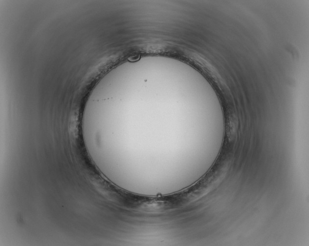 X0000113980497200910161626