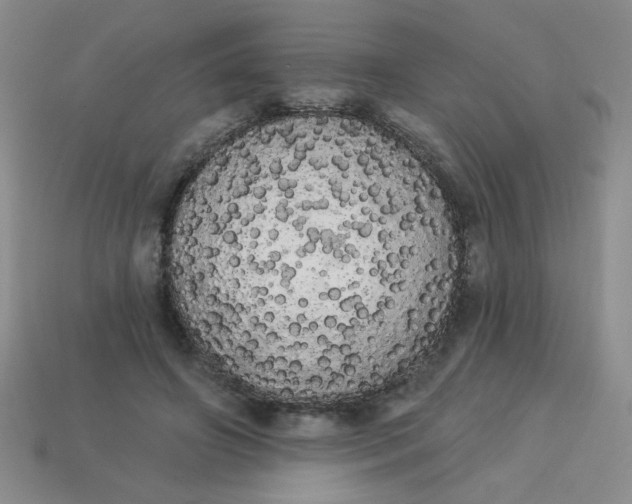 X0000113980498200910161626