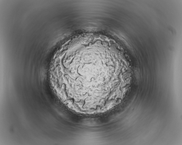 X0000113980499200910161625