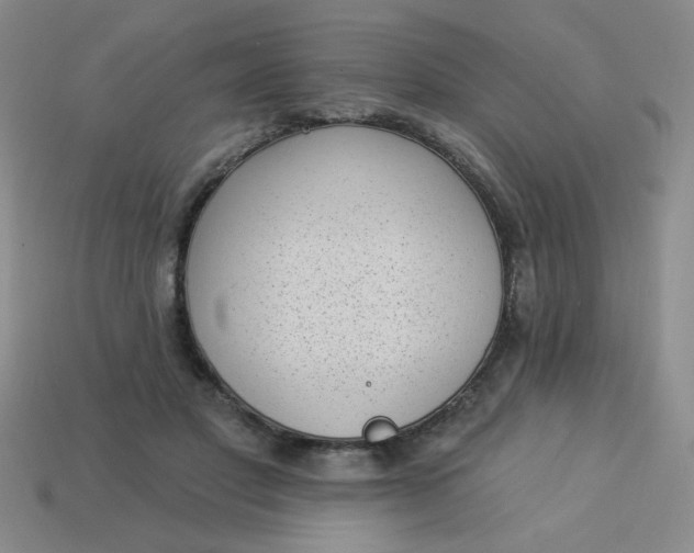 X0000113980501200910161625