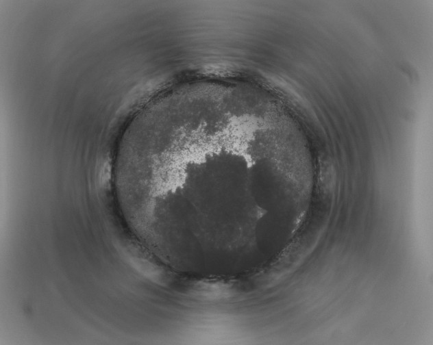 X0000113980502200910161625