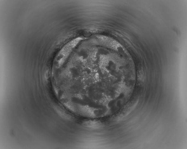 X0000113980503200910161625