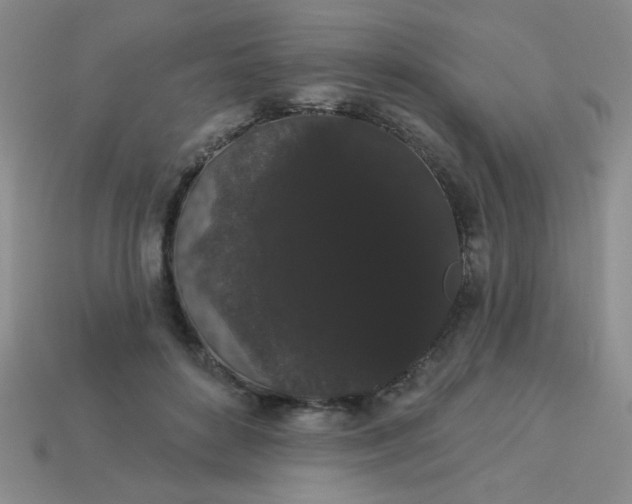 X0000113980504200910161625