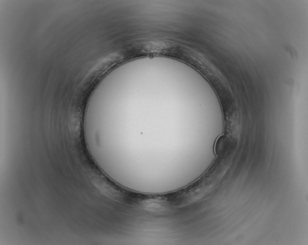 X0000113980505200910161625