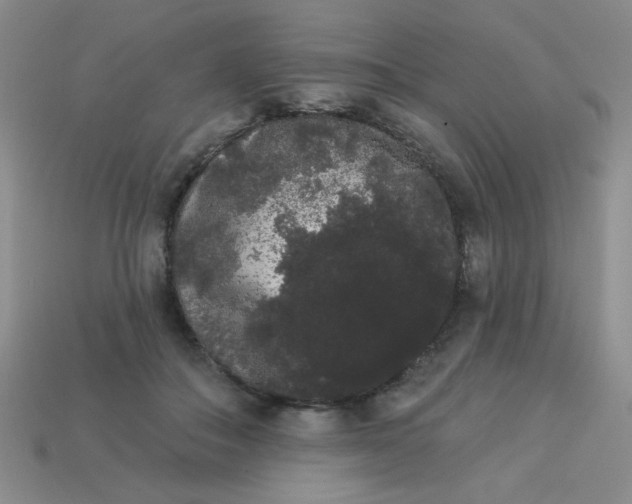 X0000113980506200910161625