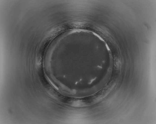 X0000113980507200910161625