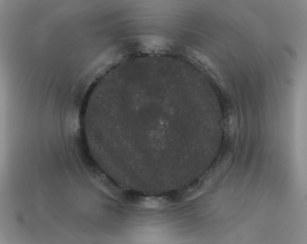 X0000113980508200910161625