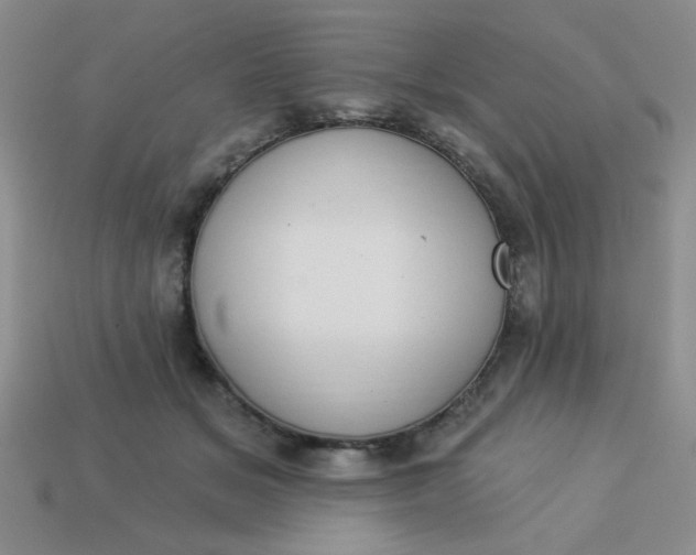 X0000113980509200910161625