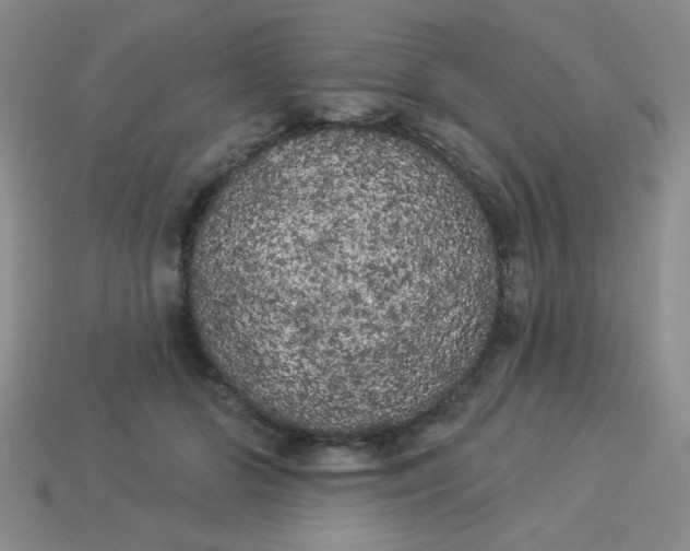 X0000113980510200910161625