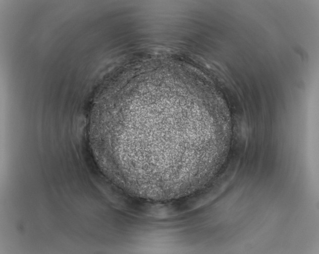 X0000113980511200910161625