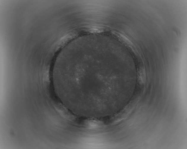 X0000113980512200910161625