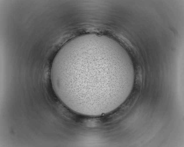 X0000113980513200910161625