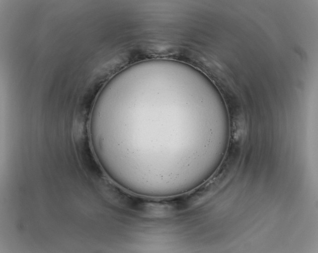 X0000113980515200910161625