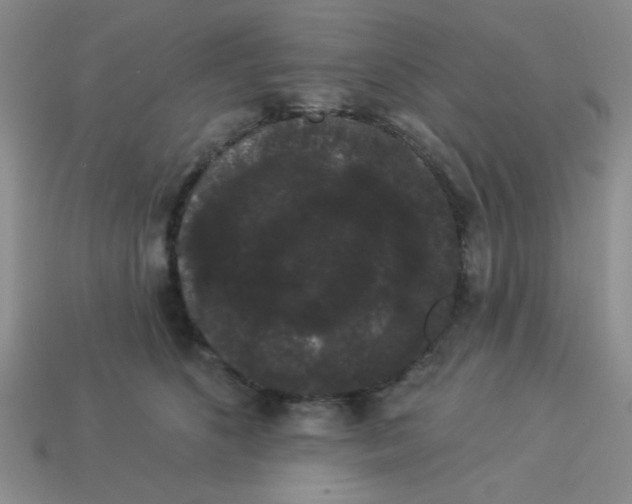 X0000113980516200910161625