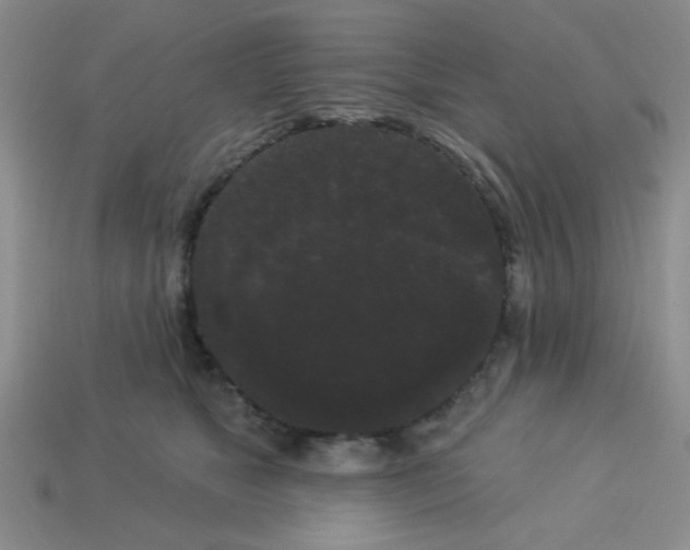 X0000113980517200910161625