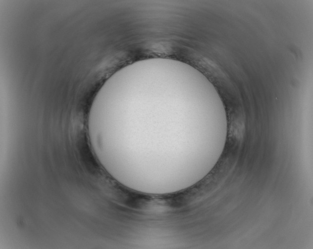 X0000113980518200910161625