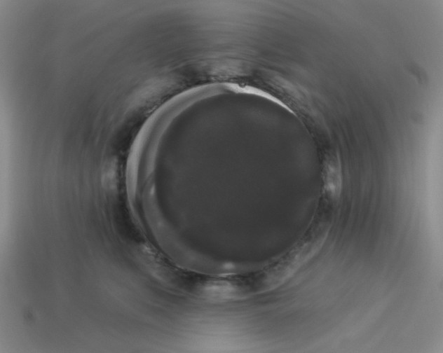 X0000113980519200910161625