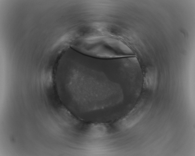 X0000113980520200910161625