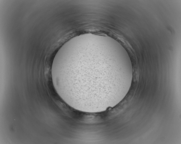 X0000113980521200910161625